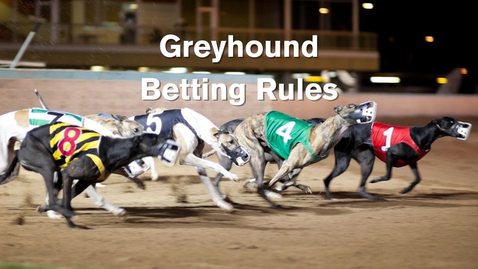 Greyhound Betting Rules