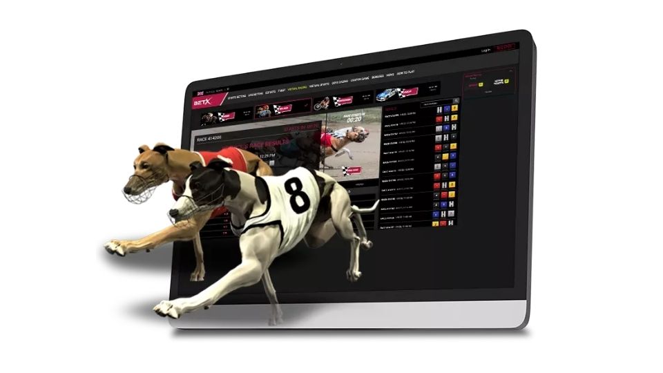 online greyhound betting options