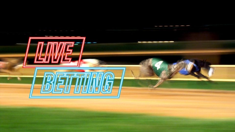 different types of greyhound bets